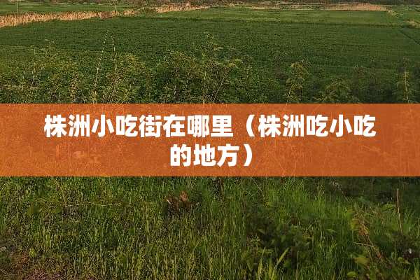 株洲小吃街在哪里（株洲吃小吃的地方）
