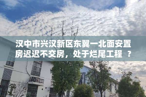 汉中市兴汉新区东翼一北面安置房迟迟不交房，处于烂尾工程  ？