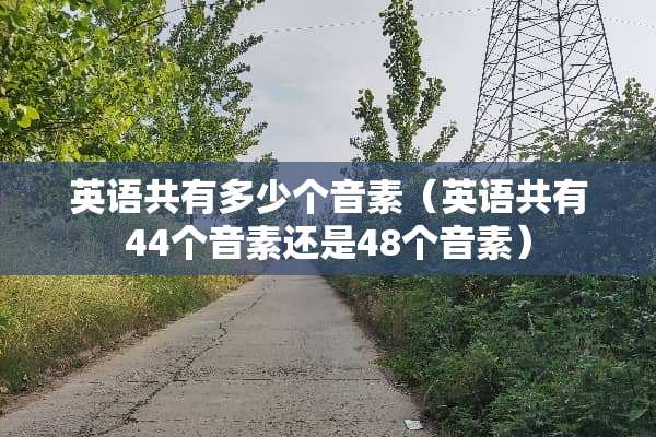 英语共有多少个音素（英语共有44个音素还是48个音素）