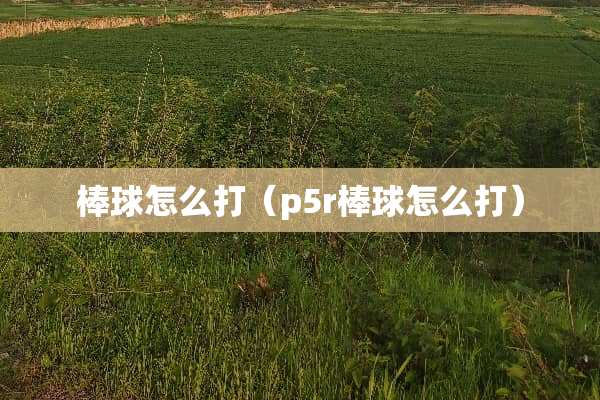 棒球怎么打（p5r棒球怎么打）