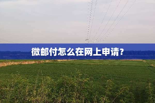 微邮付怎么在网上申请？