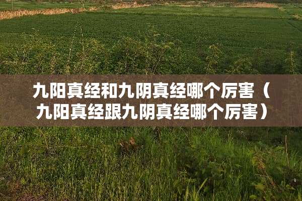 九阳真经和九*真经哪个厉害（九阳真经跟九*真经哪个厉害）