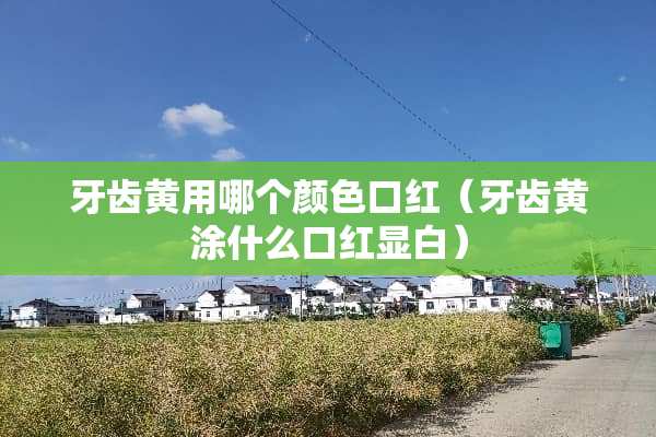 牙齿黄用哪个颜色口红（牙齿黄涂什么口红显白）
