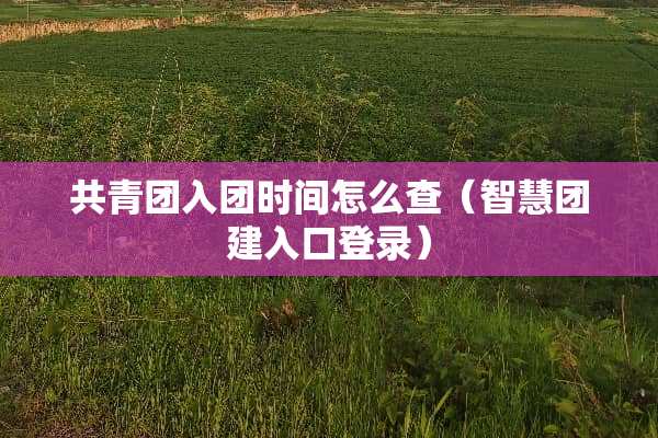 共青团入团时间怎么查（智慧团建入口登录）