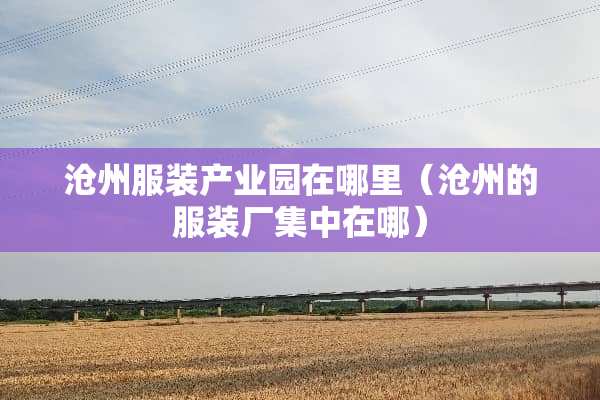 沧州服装产业园在哪里（沧州的服装厂集中在哪）