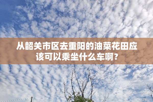 从韶关市区去重阳的油菜花田应该可以乘坐什么车啊？