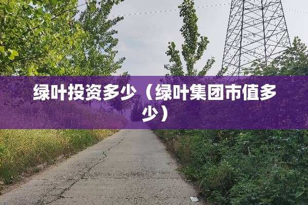 绿叶投资多少（绿叶集团市值多少）