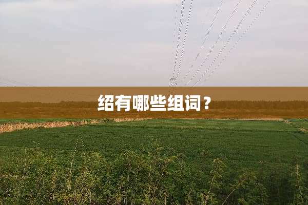 绍有哪些组词？