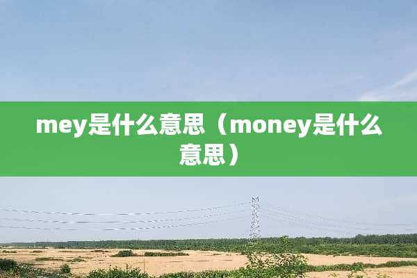 mey是什么意思（money是什么意思）