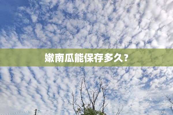 嫩南瓜能保存多久？