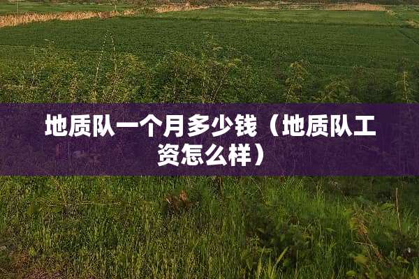 地质队一个月多少钱（地质队工资怎么样）