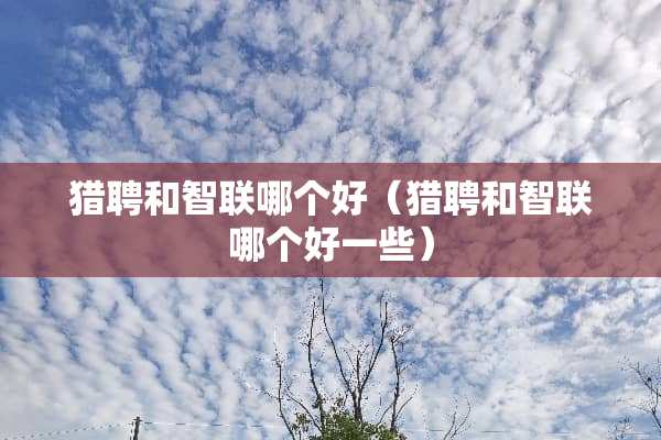 猎聘和智联哪个好（猎聘和智联哪个好一些）