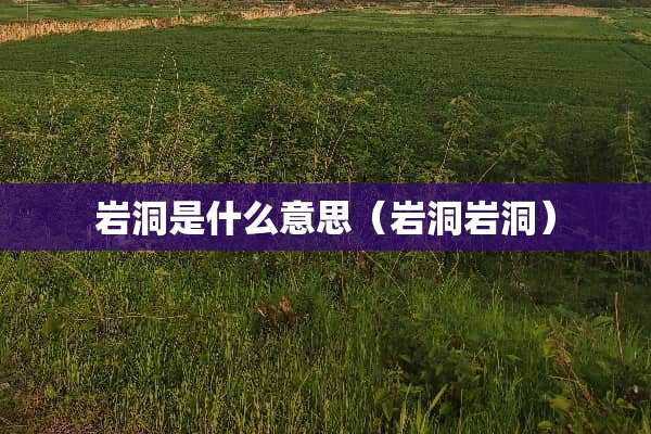 岩洞是什么意思（岩洞岩洞）