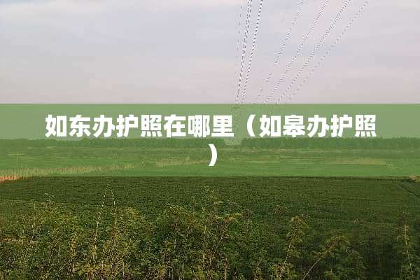 如东办护照在哪里（如皋办护照）