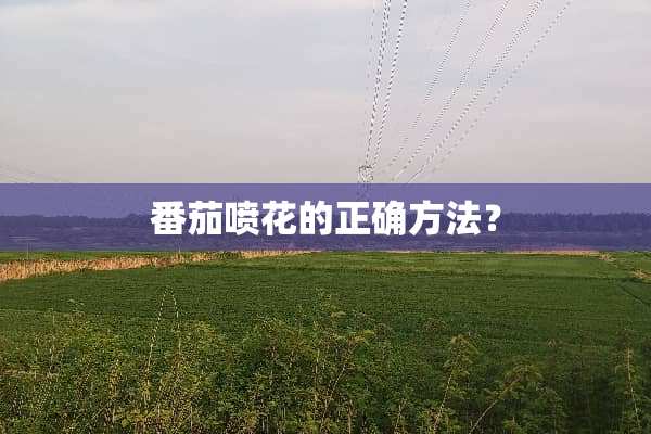 番茄喷花的正确方法？