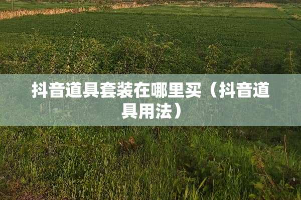 抖音道具套装在哪里买（抖音道具用法）