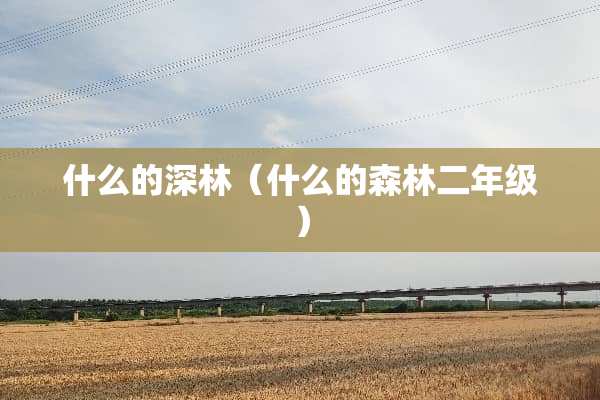 什么的深林（什么的森林二年级）