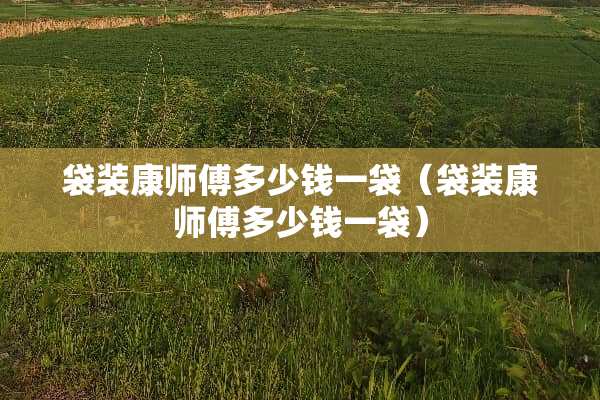 袋装康师傅多少钱一袋（袋装康师傅多少钱一袋）