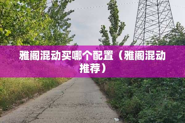 雅阁混动买哪个配置（雅阁混动推荐）