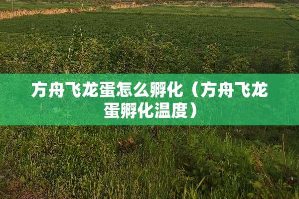方舟飞龙蛋怎么孵化（方舟飞龙蛋孵化温度）