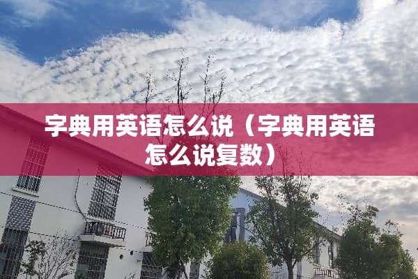 字典用英语怎么说（字典用英语怎么说复数）