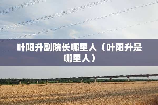 叶阳升副院长哪里人（叶阳升是哪里人）
