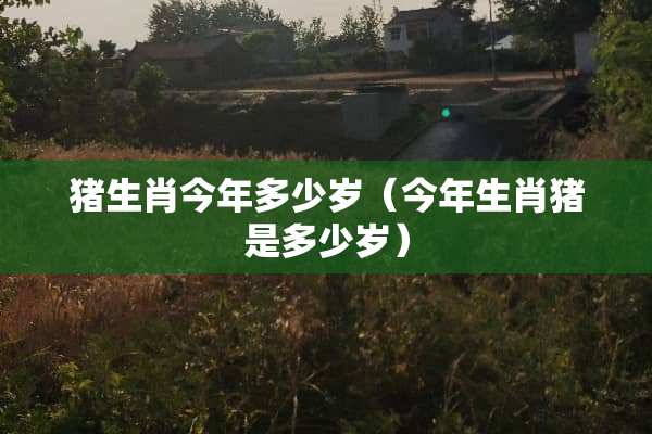 猪生肖今年多少岁（今年生肖猪是多少岁）