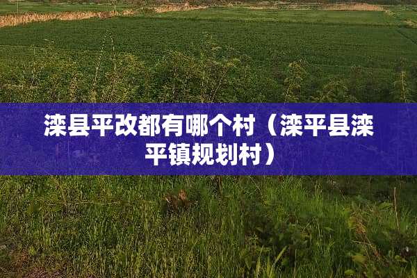 滦县平改都有哪个村（滦平县滦平镇规划村）