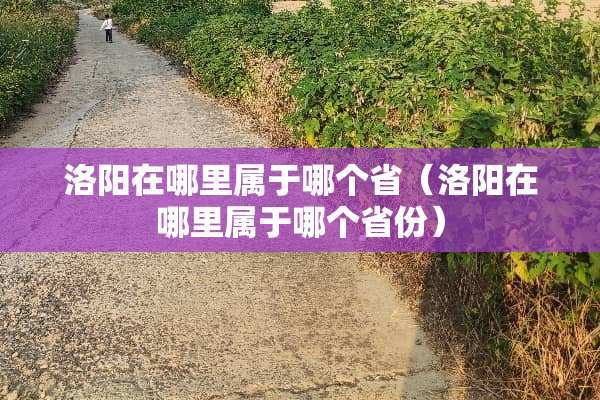 洛阳在哪里属于哪个省（洛阳在哪里属于哪个省份）