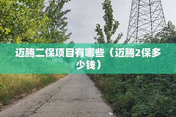迈腾二保项目有哪些（迈腾2保多少钱）