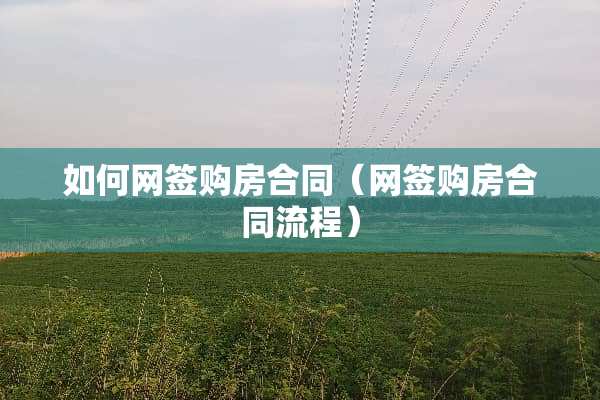 如何网签购房合同（网签购房合同流程）