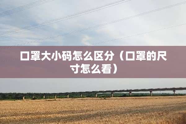 口罩大小码怎么区分（口罩的尺寸怎么看）