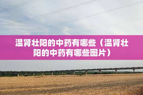 温肾壮阳的中药有哪些（温肾壮阳的中药有哪些图片）
