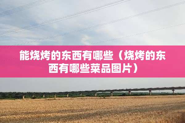 能烧烤的东西有哪些（烧烤的东西有哪些菜品图片）