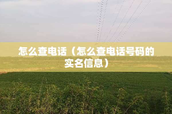 怎么查电话（怎么查电话号码的实名信息）