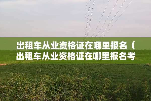 出租车从业资格证在哪里报名（出租车从业资格证在哪里报名考）