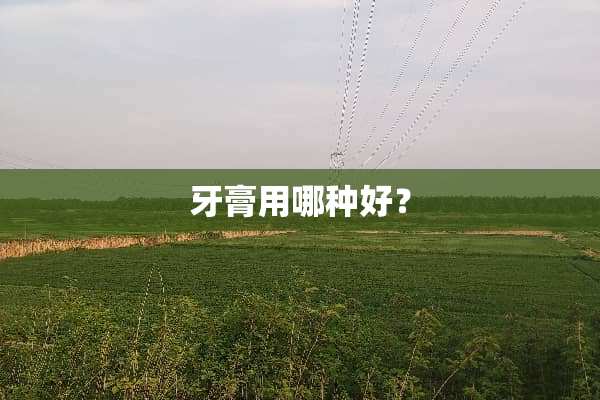 牙膏用哪种好？