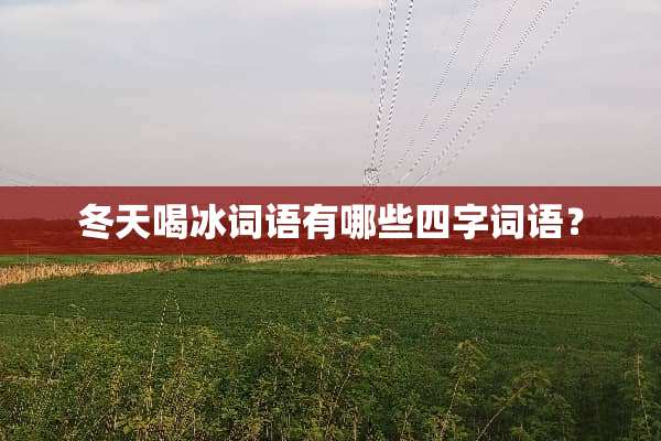 冬天喝冰词语有哪些四字词语？