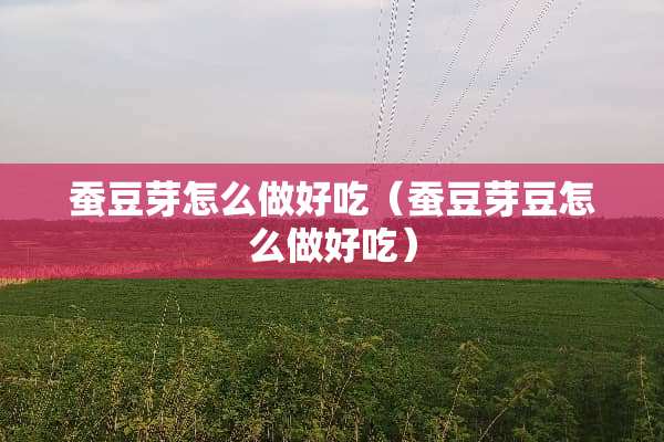 蚕豆芽怎么做好吃（蚕豆芽豆怎么做好吃）