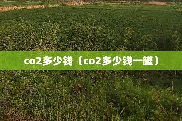 co2多少钱（co2多少钱一罐）
