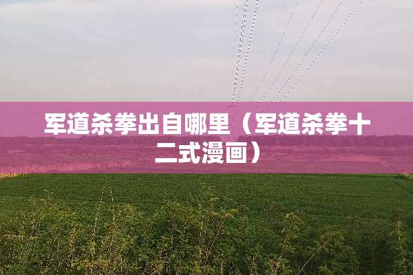 军道杀拳出自哪里（军道杀拳十二式漫画）