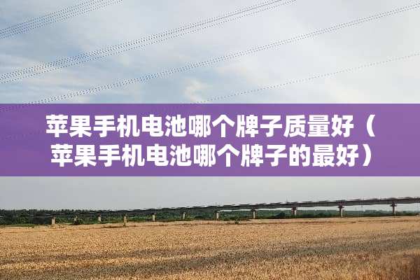 苹果手机电池哪个牌子质量好（苹果手机电池哪个牌子的最好）
