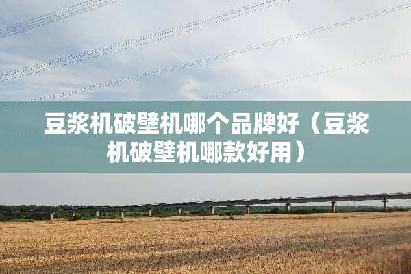 豆浆机破壁机哪个品牌好（豆浆机破壁机哪款好用）