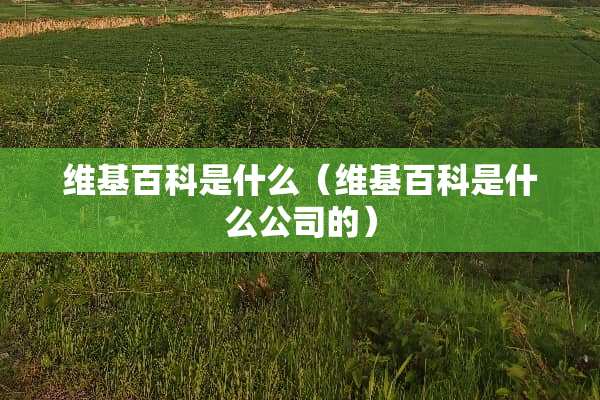 维基百科是什么（维基百科是什么公司的）