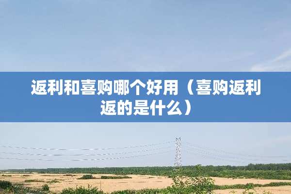返利和喜购哪个好用（喜购返利返的是什么）
