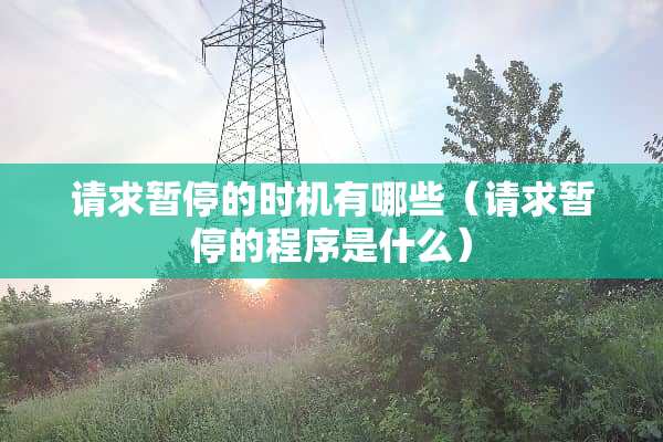 请求暂停的时机有哪些（请求暂停的程序是什么）