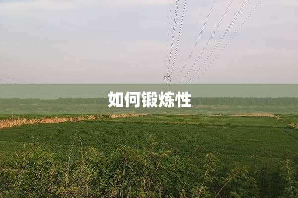 如何锻炼性