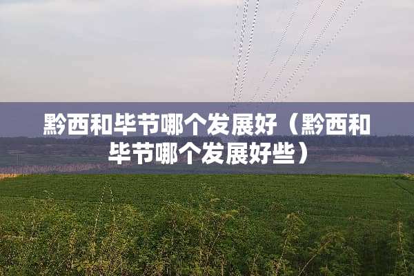 黔西和毕节哪个发展好（黔西和毕节哪个发展好些）