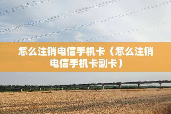 怎么注销电信手机卡（怎么注销电信手机卡副卡）