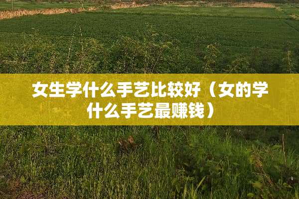 女生学什么手艺比较好（女的学什么手艺最赚钱）